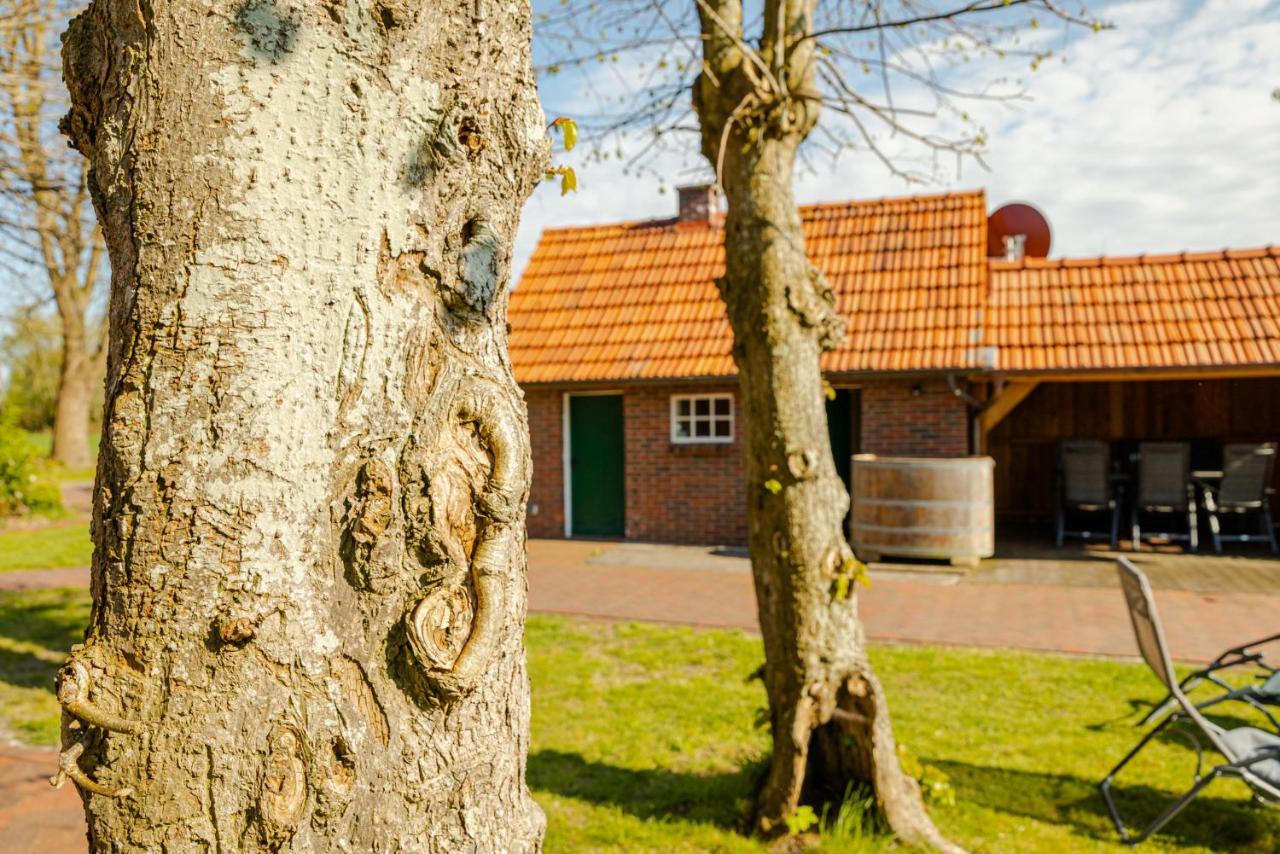 Willa Reetdach Ostfriesenhaus Südbrookmerland Zewnętrze zdjęcie